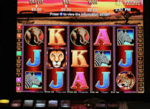 彩神vll购彩正式版