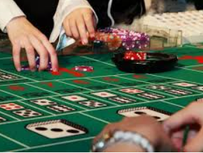 彩神vll购彩正式版